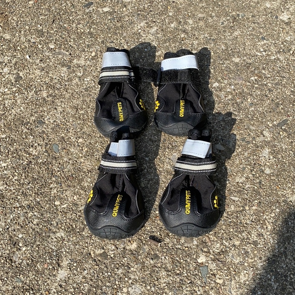 Quirky Pets Dog Shoes - Size 9